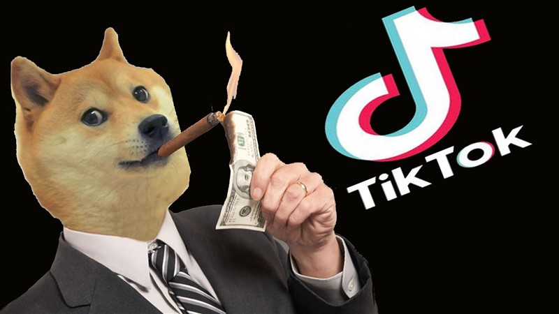 Muito obrigado TikTok por multiplicar meus Dogecoins