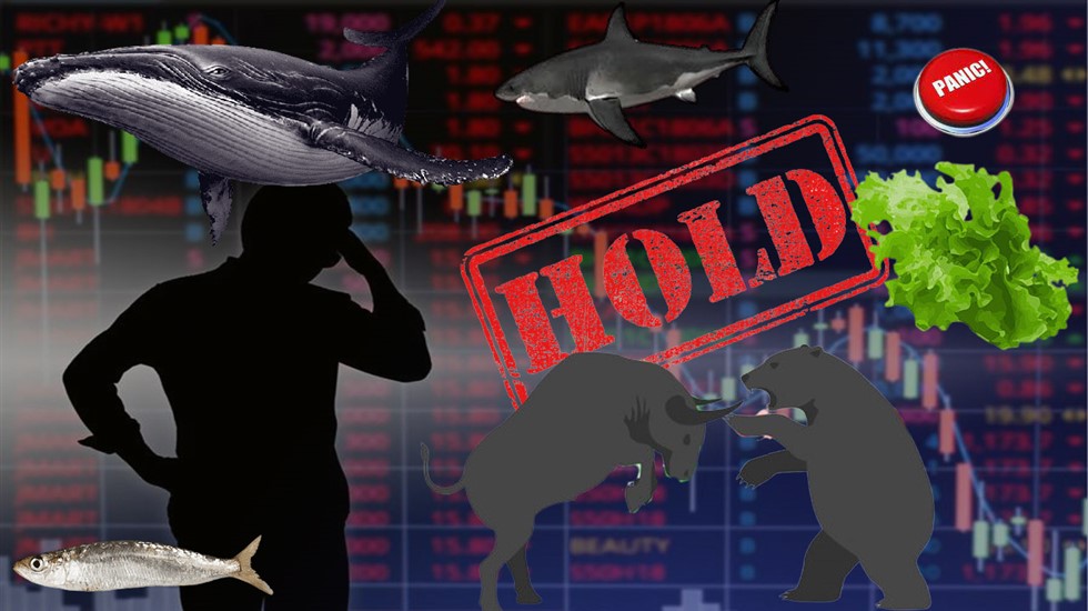 Os termos que os tradings usam no mercado cripto? Touro, urso, baleia, tubarão...