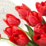 Bitcoin e a mania das tulipas / Cortes do batistacoin #3