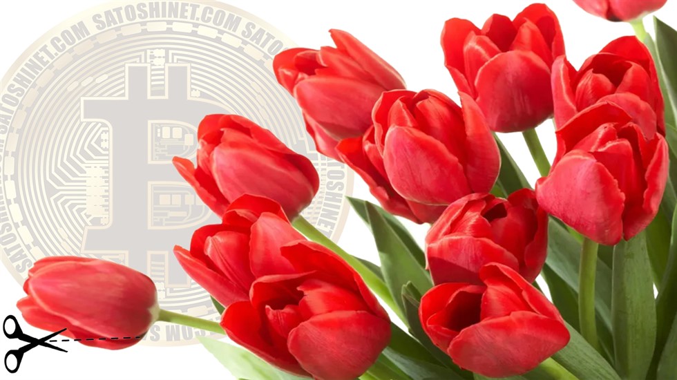 Bitcoin e a mania das tulipas / Cortes do batistacoin #3