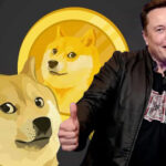 Dogecoin dispara após Elon Musk trocar a logo do Twitter! Você vê alguma lógica nisso?